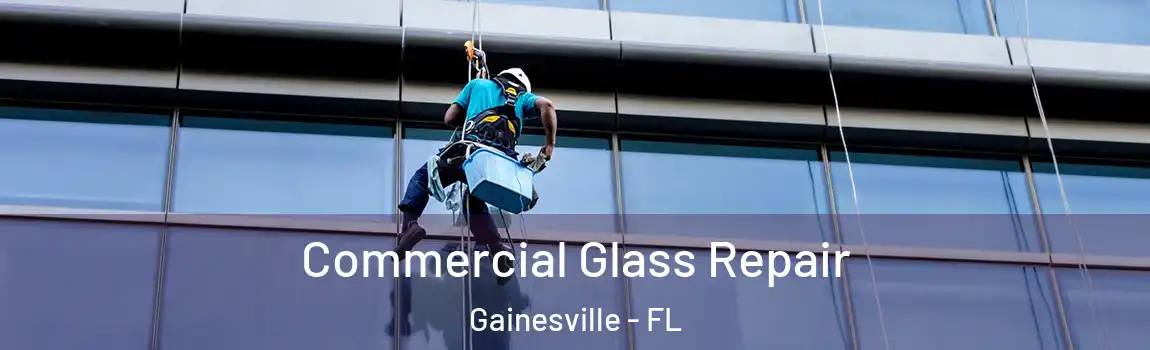 Commercial Glass Repair Gainesville - FL