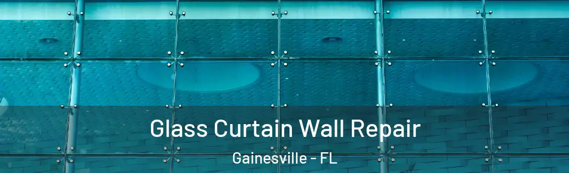 Glass Curtain Wall Repair Gainesville - FL