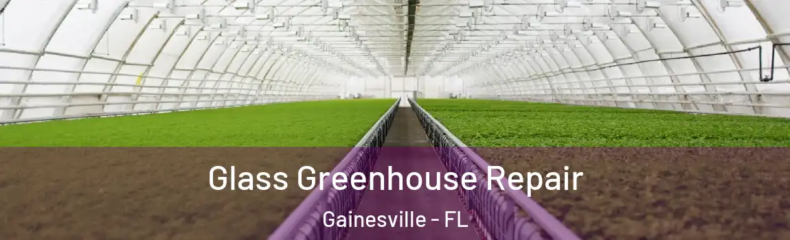 Glass Greenhouse Repair Gainesville - FL