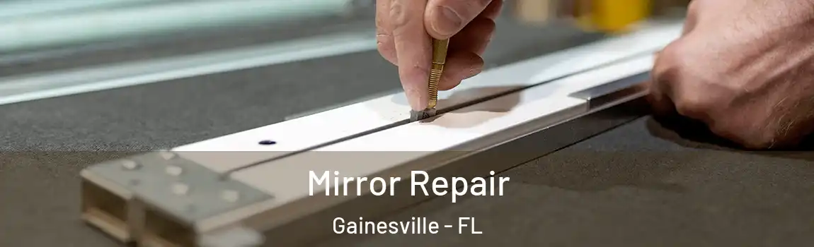 Mirror Repair Gainesville - FL