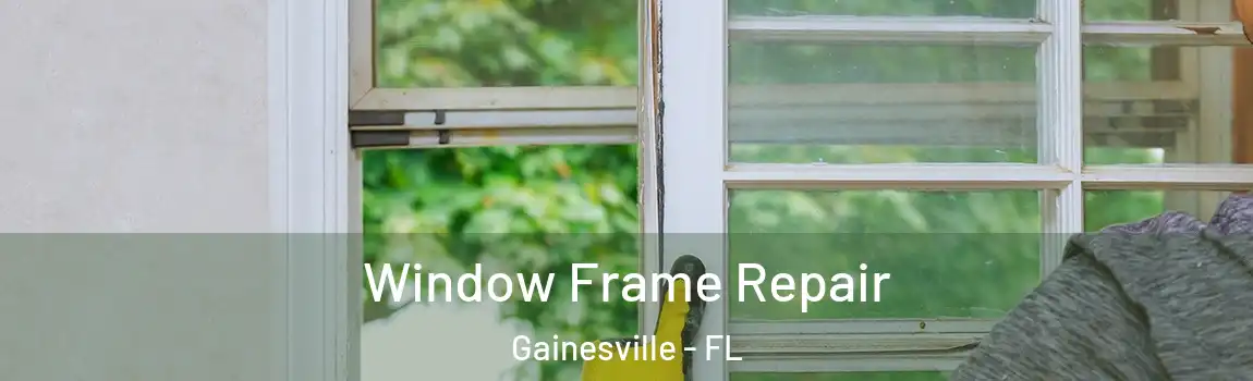 Window Frame Repair Gainesville - FL