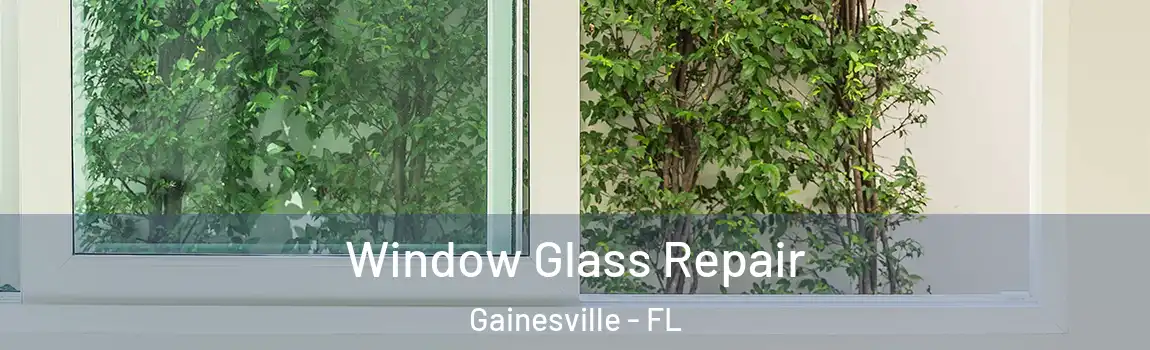 Window Glass Repair Gainesville - FL