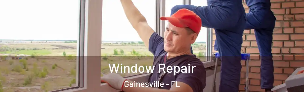 Window Repair Gainesville - FL