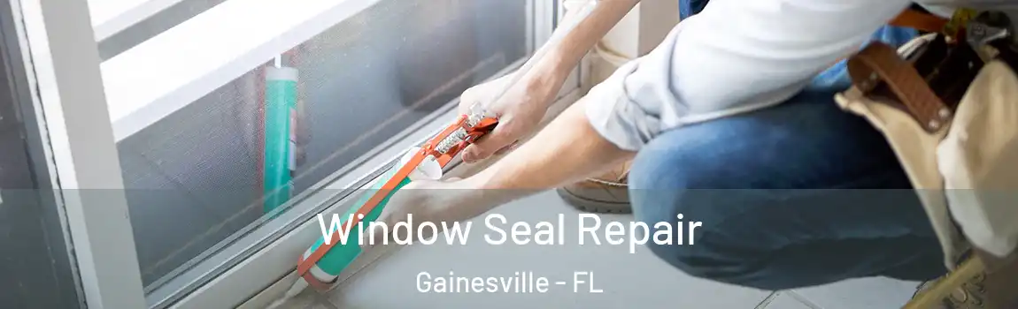 Window Seal Repair Gainesville - FL